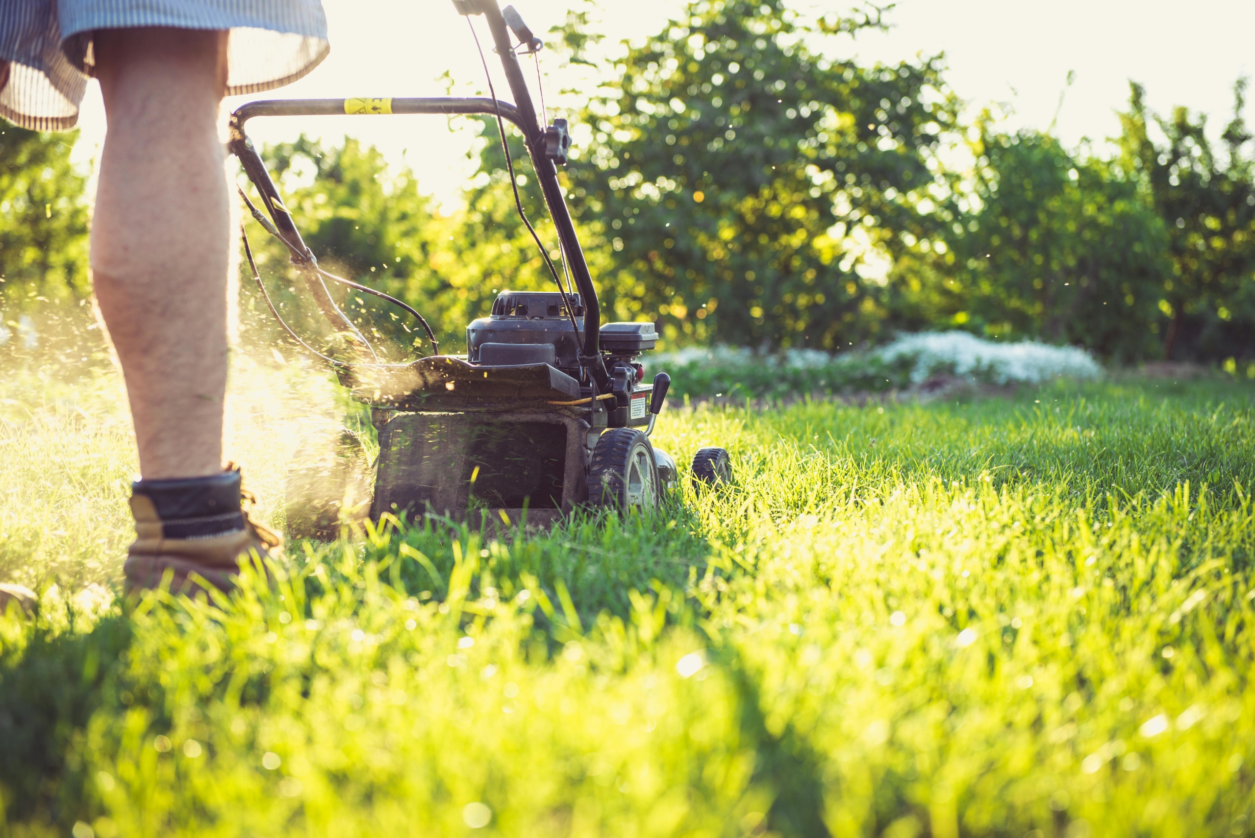 Boots and legs guiding a lawn mower through sunlit grass, capturing a calm start to a first time tax return UK for someone self employed after retirement.